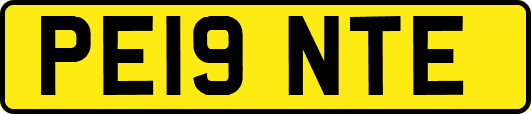 PE19NTE