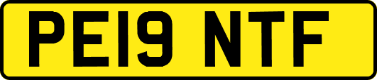 PE19NTF