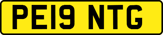 PE19NTG