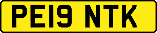 PE19NTK