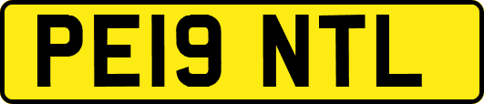 PE19NTL