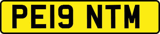 PE19NTM
