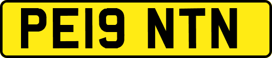 PE19NTN