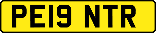 PE19NTR