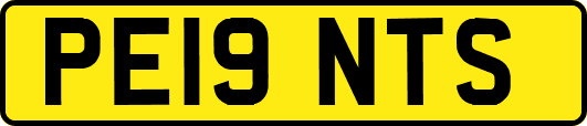 PE19NTS