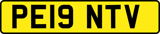 PE19NTV