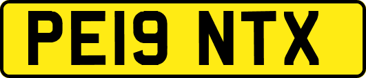 PE19NTX