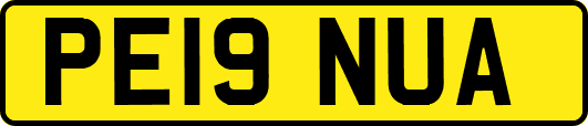 PE19NUA
