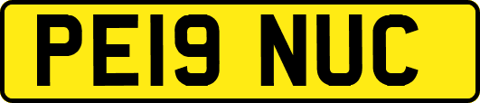 PE19NUC