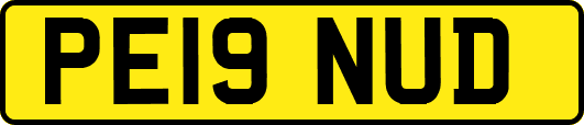 PE19NUD