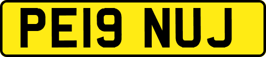 PE19NUJ