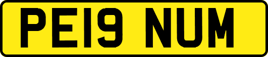 PE19NUM