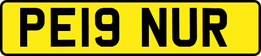 PE19NUR