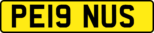 PE19NUS