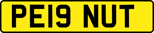 PE19NUT