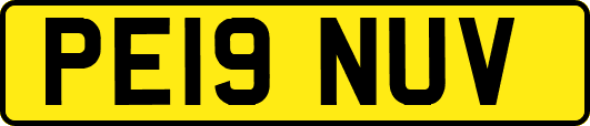 PE19NUV