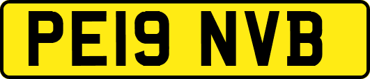 PE19NVB