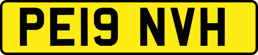 PE19NVH