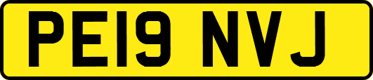 PE19NVJ