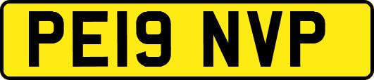 PE19NVP