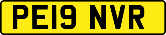 PE19NVR