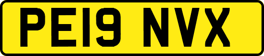 PE19NVX