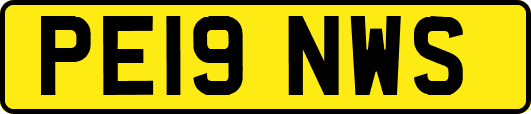 PE19NWS