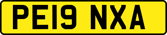 PE19NXA