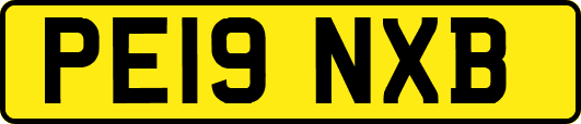 PE19NXB
