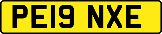 PE19NXE