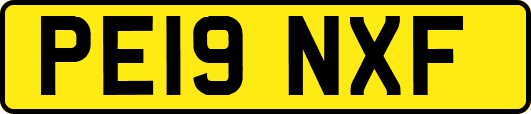 PE19NXF