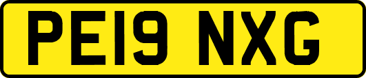 PE19NXG