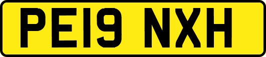 PE19NXH
