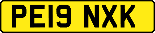 PE19NXK