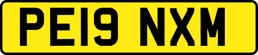 PE19NXM