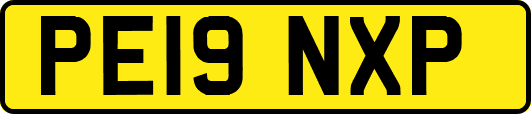 PE19NXP