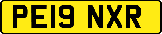 PE19NXR