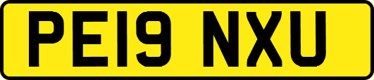 PE19NXU
