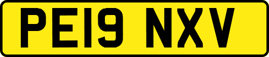 PE19NXV