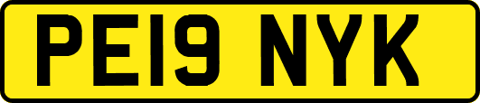 PE19NYK