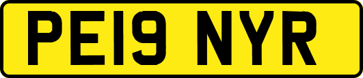PE19NYR