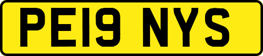 PE19NYS