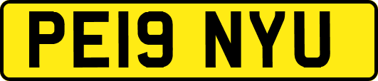 PE19NYU
