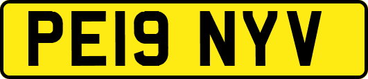PE19NYV