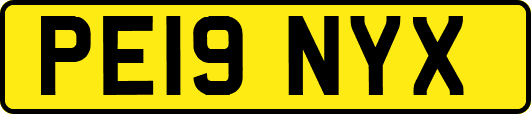 PE19NYX