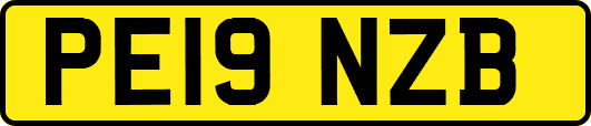 PE19NZB