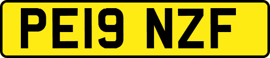 PE19NZF