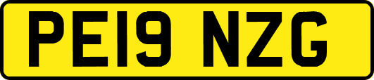 PE19NZG