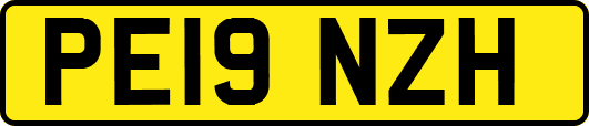 PE19NZH