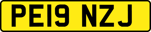 PE19NZJ